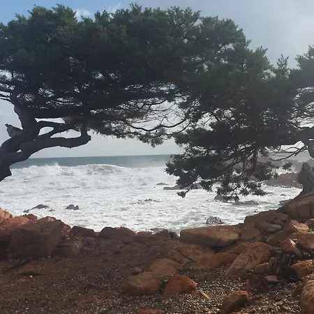 Apartman Da Nonna Assunta Jerzu