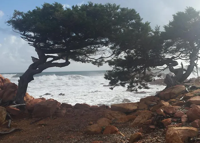 Daire Da Nonna Assunta Jerzu